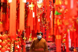 一二三四五，南昌有萌虎图片
