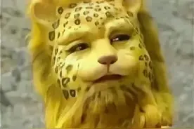 虎年将至，一只豹子突然火遍了朋友圈图片