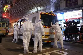 香港11只仓鼠被检出新冠阳性 来自市民家、宠物店和货仓图片