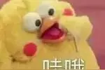 重要！今起开启！上海人心心念念的烟花也安排上啦图片