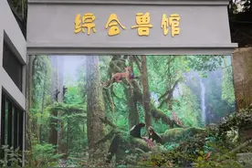 重庆动物园综合兽馆春节开放，快来看看住了哪些“小野兽”图片