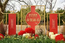 哪些植物名字带“虎”？申城公园换“盛装”迎虎年新春图片