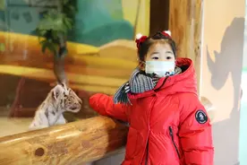“留郑过大年，花式送温暖”之“嗨翻天”｜假期文旅攻略安排上了 这个春节玩出新花样图片