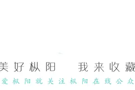 要闻 | 枞阳县第二届油菜花文化旅游节推进会召开图片