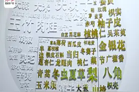 10秒体验岐黄魅力，中医药体验馆亮相北京冬奥村视频封面