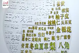 10秒体验岐黄魅力，中医药体验馆亮相北京冬奥村视频封面