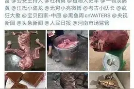 千元一斤卖老虎肉？图片