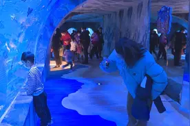 东营区：海狮表演灯光秀 海洋馆里闹新春图片