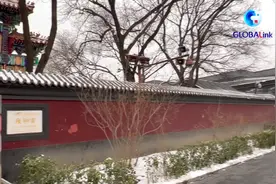 两岸夫妻的胡同“新生活”图片