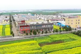 唐河县城郊乡：红色文化唱响乡村 如画美景扮靓农庄图片