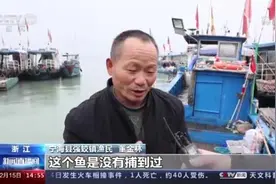 浙江渔民误捕中华鲟 渔政部门及时放生图片