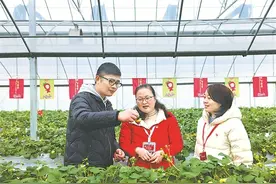 下沉一线｜草莓飘香引客来图片