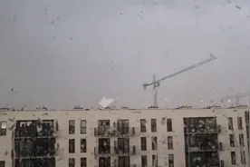 波兰一处建筑工地塔吊被强风吹倒 致两名工人死亡图片
