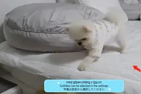B站看视频可以直接录制视频，哔哩哔哩怎么录制视频图片