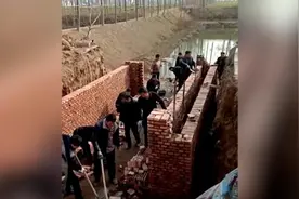 青年组团为村里修桥：出点力比在一起打牌强视频封面