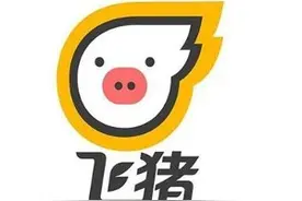 网约车合规仍待加强，乘客深夜遭飞猪接机司机骚扰图片
