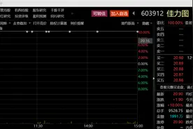 一天最多血亏24%！三连板东数西算牛股利空接踵而至，“民间股神”大举减持可转债图片
