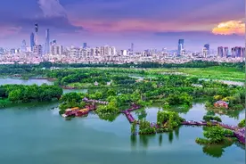 广东2025年完成营造修复红树林12万亩图片