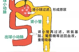 肾不会喊痛！这7种最伤肾的动作 你可能天天在做图片