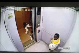 监控实拍：电梯门卡住牵引绳，宠物狗被吊在半空中图片