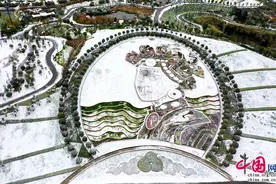 云南红河：春雪满空来 触处似花开图片