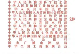 十七部委联合发文促进团体标准规范优质发展图片