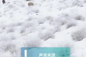 “民族拍友团”拍友阿松：在阿勒泰地区记录哈萨克族的游牧文化图片