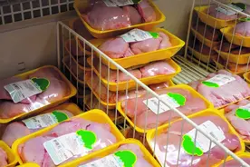 内地供港鲜活食品供应大致稳定！广东多途径运送蔬果生活物资图片