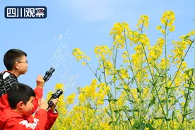 春来了！四川这些地方油菜花开惹人醉图片