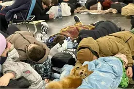 在基辅地铁站避难的宠物图片