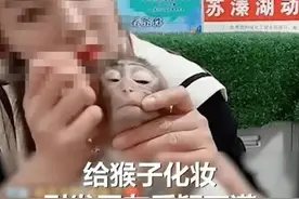 主播给动物园猴子化妆、穿尿不湿直播吸粉带货，泰州姜堰区：约谈图片