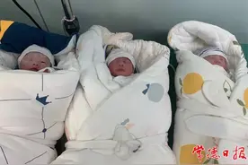 几率百万分之一！女子产下“纯自然”足月三胞胎图片