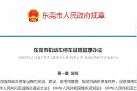 《东莞市机动车停车设施管理办法》正式出台，6月1日起施行图片