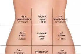 肚子疼到底是哪里在疼？不同位置腹痛的可能疾病图片