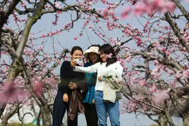 春光无限好 赏花正当时图片