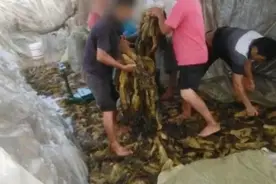 停职检查！免职！“土坑酸菜”事件又有后续图片