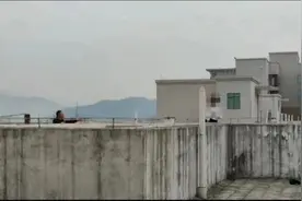 小女孩在11层楼顶欲轻生，危急时刻他纵身一跳……图片