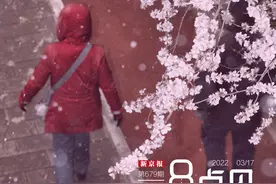 新闻8点见丨花开时节又逢雪！北京明日仍有全市范围降雪图片