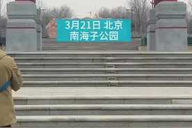 候鸟迁徙高峰期来了！一群群白天鹅在北京南海子公园聚会图片