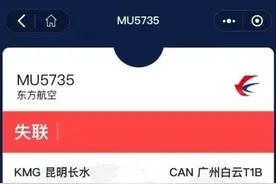 未抵达终点的东航MU5735图片