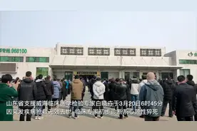 那朵叫“晓卉”的花，在春天永生图片