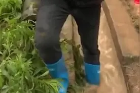 坠机搜救工作在雨中继续，搜救人员手脚并用在泥泞中跋涉视频封面