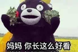 赶鸭子上架，鸭子为啥那么不情愿？图片