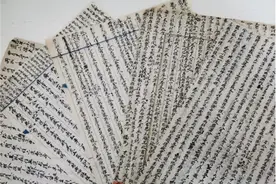 贾吉云收租记图片