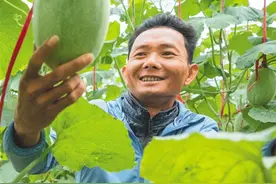 海南日报特别报道《春天的起航》——沥沥春雨润万家图片