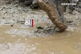 东航MU5735失事七日：这七个瞬间令人破防图片