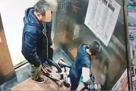 10岁男孩电梯中被男子掌掴 家长选择原谅对方：也让孩子上一课图片