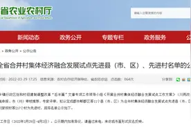 集体经济融合试点整得好！达州10个合并村拟获全省先进图片