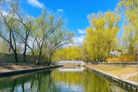 明天可以从北京动物园坐船到颐和园了，来一次长河观柳吧！视频封面