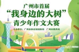 “我身边的大树”银奖：我家门前的大叶榕图片